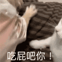 萌宠 狗狗 吃屁吧你 呆萌 可爱