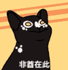 popo猫 大嘴猫咪 可爱 沙雕 搞笑