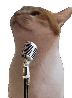 猫咪 可爱 搞怪 日常