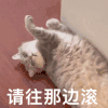 萌宠 猫咪 请往那边滚 呆萌 可爱
