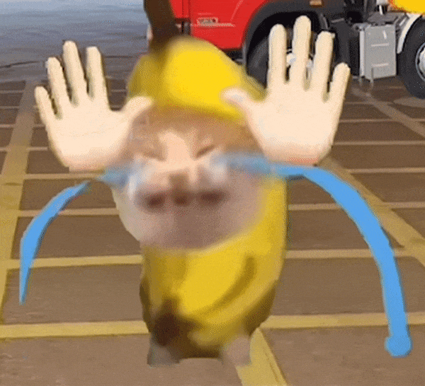 香蕉猫 meme 可爱 搞怪