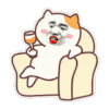 萌宠 猫咪 拽 呆萌 可爱