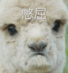 萌宠 小样 憋屈 难受 搞怪 逗