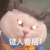 萌宠 猫咪 键人看招 呆萌 可爱