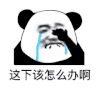 暴漫 熊猫头 这下该怎么办啊 搞怪 逗