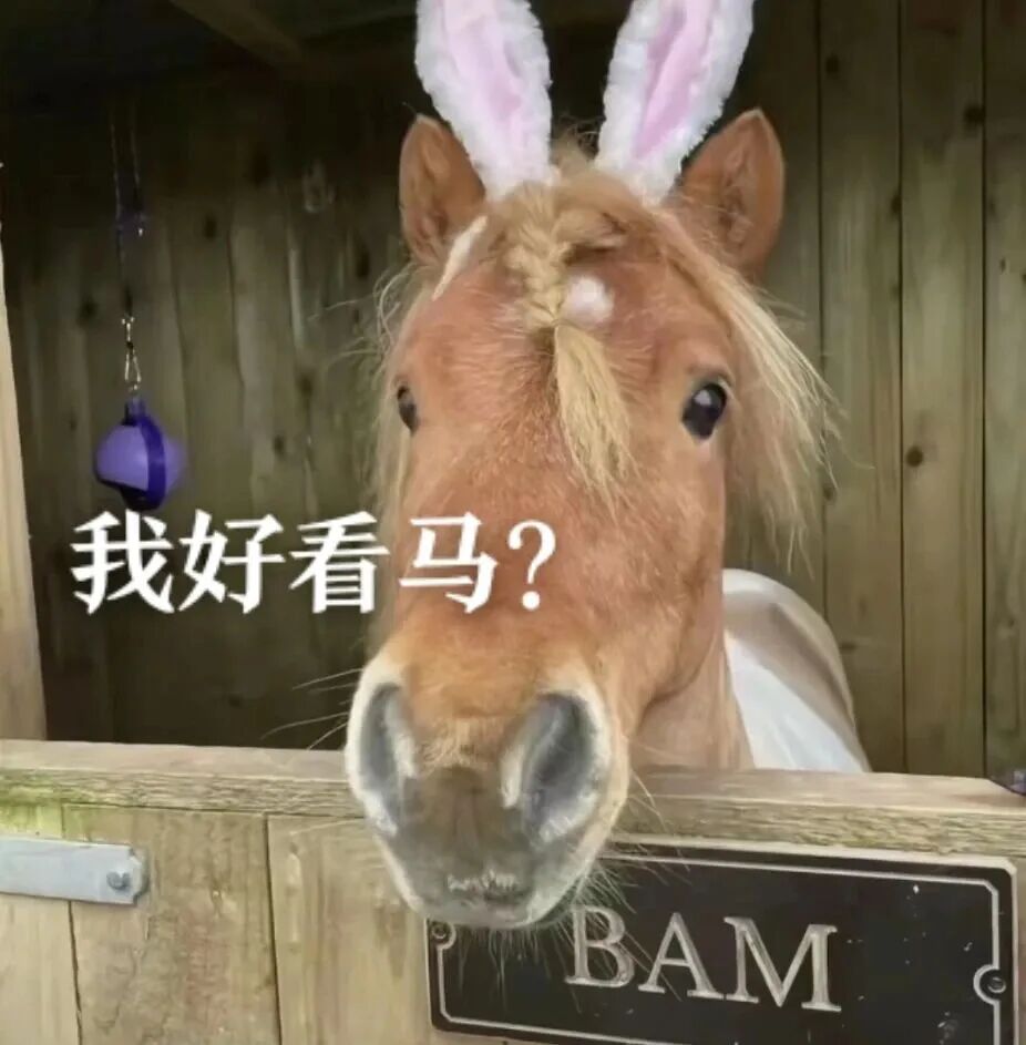 2026 马年表情包 抽象 搞怪