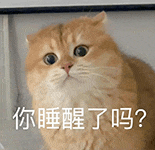 萌寵 貓咪 你睡醒了嗎 呆萌 可愛(ài)