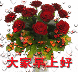 玫瑰花 爱心 红色 大家早上好