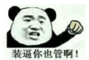 暴漫 熊猫头 装逼你也管啊 搞笑 逗 沙雕