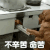 萌宠 狗 不幸苦命苦 呆萌 可爱