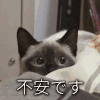 萌 沙雕 搞笑 逗 不安
