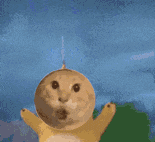 搞怪 抽象 沙雕 可爱