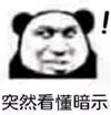 暴漫 熊猫头 突然看懂暗示 搞笑 逗 沙雕