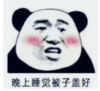 暴漫 熊猫头 晚上睡觉盖好被子 搞笑 逗 沙雕