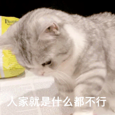 会啊图片_会啊动态图_会啊表情包gif动图下载_soogif