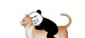 熊猫头 沙雕 骑小动物 搞笑