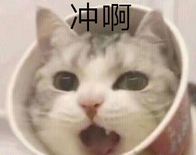 萌宠gif猫星人gif冲鸭gif我来了gif呆萌gif可爱gif