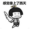 暴漫 文字表情包 感觉像上了西天 搞笑 逗 沙雕