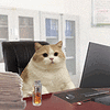 萌宠 猫咪 上班 呆萌 可爱