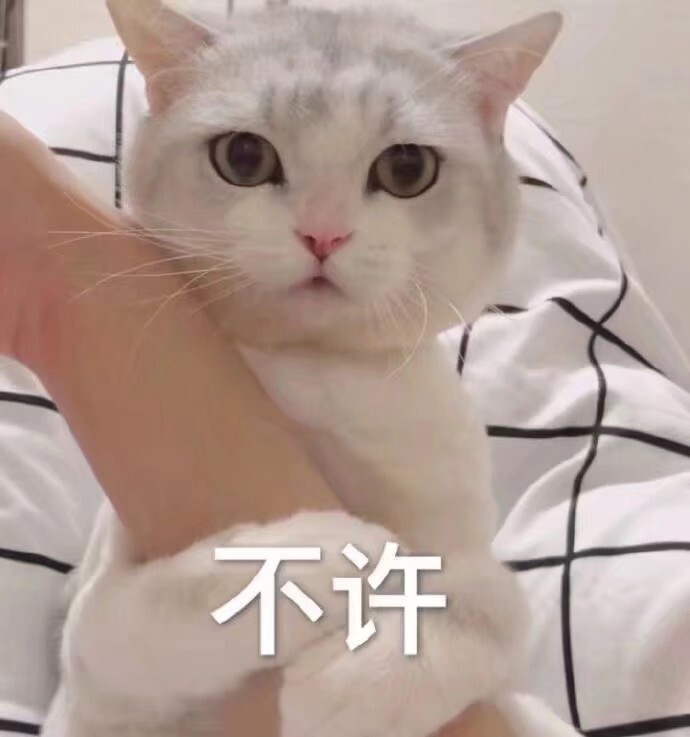 萌宠gif猫星人gif不许gif生气gif呆萌gif可爱gif