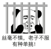 暴漫 熊猫头 丝毫不惧老子不服有种单挑 搞怪 逗
