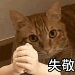 萌寵 貓咪 失敬 呆萌 可愛(ài)