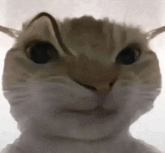 鼠鼠 三角洲 猫咪 可爱 搞怪