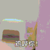 萌宠 猫咪 鸡哔你 呆萌 可爱