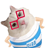 萌寵 貓咪 嫌棄 呆萌 可愛