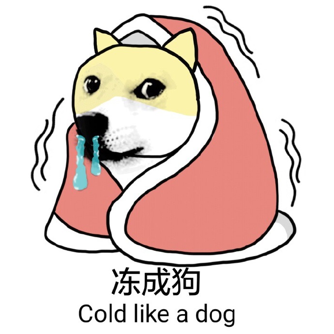 降温冻成狗的图片图片