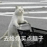 萌宠 猫咪 去给你买点脑子 呆萌 可爱