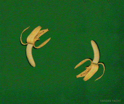 绿色香蕉图片 表情包图片