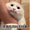 萌宠 猫 带我吃鸡好不好嘛 搞怪 逗