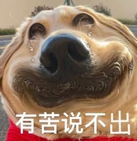 萌宠 狗 有苦说不出 大怨种 呆萌 可爱