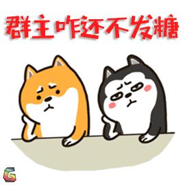 群主咋还不发糖 糖果 柴犬 二哈 哈士奇 万圣节 soogif soogif出品