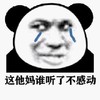 暴漫 熊猫头 谁听了不感动 难受 搞怪 逗