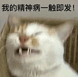 萌宠