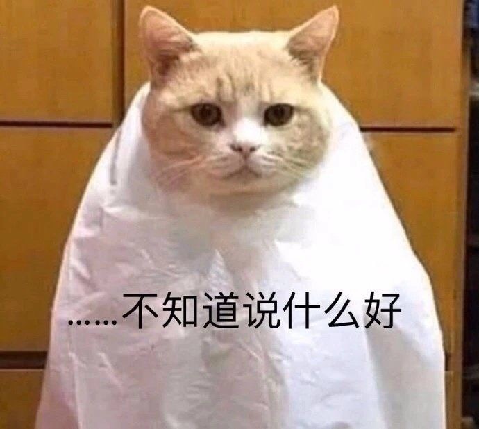 无奈猫咪图片表情大全图片