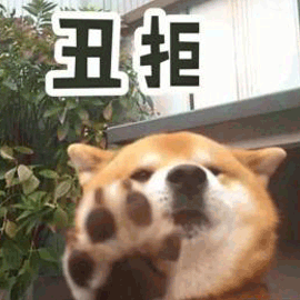 萌宠