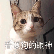 沙雕猫