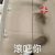 萌宠 猫咪 滚吧你 呆萌 可爱