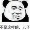 暴漫 熊猫头 不是这样的 儿子 搞怪 逗