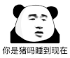 暴漫 熊猫头 你是猪嘛 睡到现在 搞怪 逗