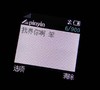 短信 诺亚基 我养你啊 舔狗语录 搞怪 逗