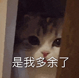 萌寵 貓咪 是我多余了 呆萌 可愛