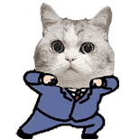 萌宠 猫咪 跳舞 呆萌 可爱