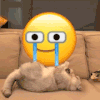 萌宠 猫咪 哭了 呆萌 可爱