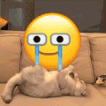 萌宠 猫咪 哭了 呆萌 可爱