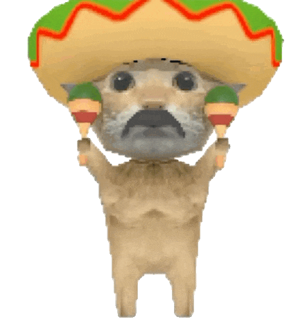 阿米嘎蒂朵 猫咪 喵喵 可爱 搞怪