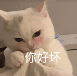 萌宠 猫咪 你好坏 呆萌 可爱